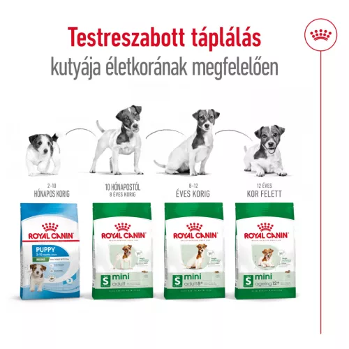 Royal Canin Size Health Nutrition Mini adult száraz kutyaeledel 8kg
