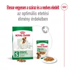 Royal Canin Size Health Nutrition Mini adult száraz kutyaeledel 8kg