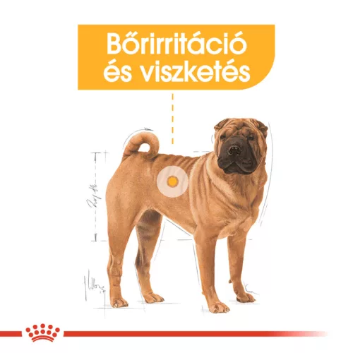 Royal Canin Canine Care Nutrition Medium adult Dermacomfort száraz kutyaeledel 3kg