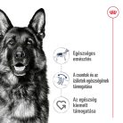 Royal Canin Size Health Nutrition Maxi adult száraz kutyaeledel 4kg
