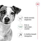 Royal Canin Size Health Nutrition Mini adult 8+ száraz kutyaeledel 2kg