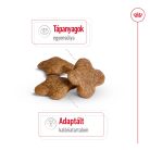 Royal Canin Size Health Nutrition Mini adult 8+ száraz kutyaeledel 2kg