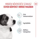 Royal Canin Size Health Nutrition Mini puppy száraz kutyaeledel 2kg