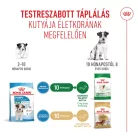 Royal Canin Size Health Nutrition Mini puppy száraz kutyaeledel 2kg