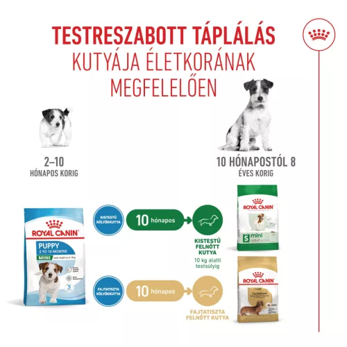 Royal Canin Size Health Nutrition Mini puppy száraz kutyaeledel 2kg