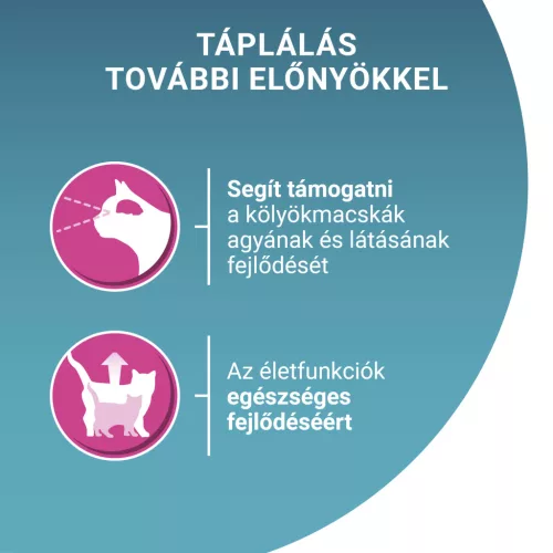 Purina ONE macska tasak MP junior lazac&sárgarépa 4x85g