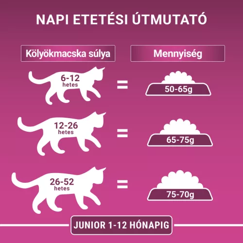 Purina ONE macska tasak MP junior lazac&sárgarépa 4x85g