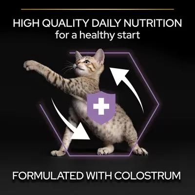 Pro Plan Healthy Start kitten száraz macskaeledel csirke 400g