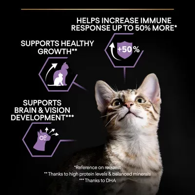 Pro Plan Healthy Start kitten száraz macskaeledel csirke 400g