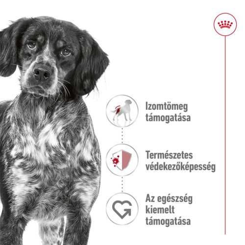 Royal Canin Size Health Nutrition Medium adult száraz kutyaeledel 15kg