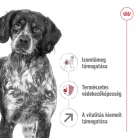 Royal Canin Size Health Nutrition Medium adult 7+ száraz kutyaeledel  15kg
