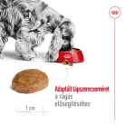 Royal Canin Size Health Nutrition Medium adult 7+ száraz kutyaeledel  15kg