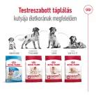 Royal Canin Size Health Nutrition Medium adult 7+ száraz kutyaeledel  15kg