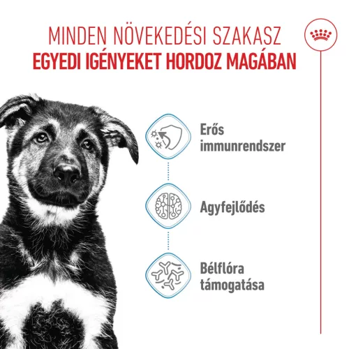Royal Canin Size Health Nutrition Maxi puppy száraz kutyaeledel 15kg