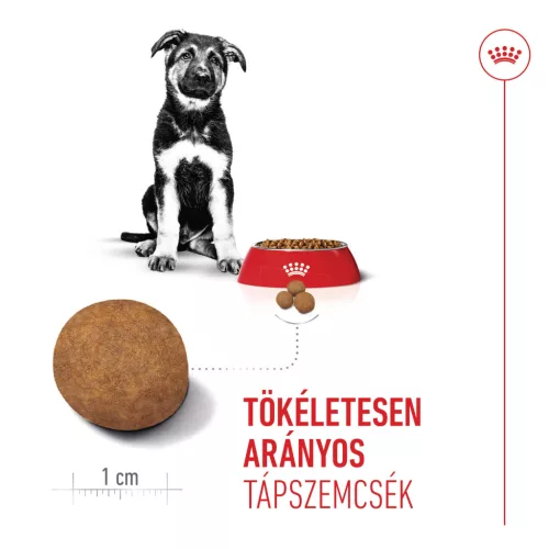 Royal Canin Size Health Nutrition Maxi puppy száraz kutyaeledel 15kg