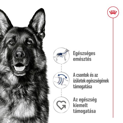 Royal Canin Size Health Nutrition Maxi adult száraz kutyaeledel 15kg