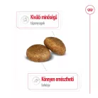 Royal Canin Size Health Nutrition Maxi adult száraz kutyaeledel 15kg