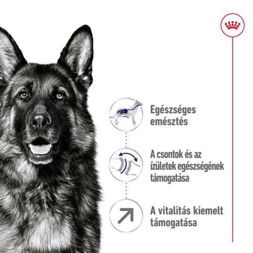 Royal Canin Size Health Nutrition Maxi adult 5+ száraz kutyaeledel 15kg