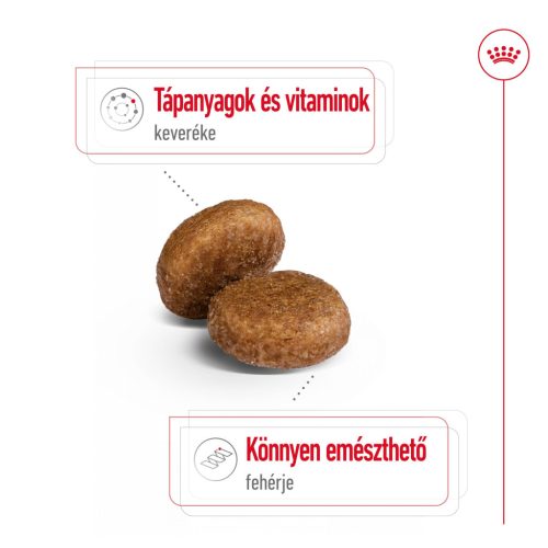 Royal Canin Size Health Nutrition Maxi adult 5+ száraz kutyaeledel 15kg