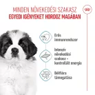 Royal Canin Size Health Nutrition Giant puppy száraz kutyaeledel 15kg