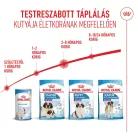 Royal Canin Size Health Nutrition Giant puppy száraz kutyaeledel 15kg