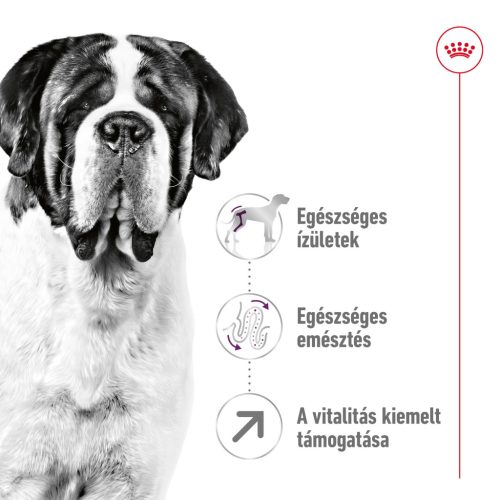 Royal Canin Size Health Nutrition Giant adult száraz kutyaeledel 15kg