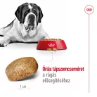Royal Canin Size Health Nutrition Giant adult száraz kutyaeledel 15kg