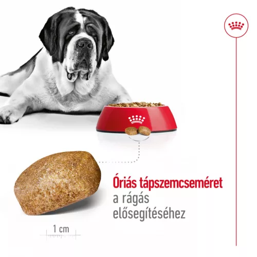 Royal Canin Size Health Nutrition Giant adult száraz kutyaeledel 15kg