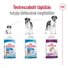 Royal Canin Size Health Nutrition Giant adult száraz kutyaeledel 15kg