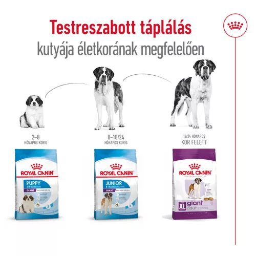 Royal Canin Size Health Nutrition Giant adult száraz kutyaeledel 15kg