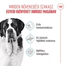 Royal Canin Size Health Nutrition Giant junior száraz kutyaeledel 15kg