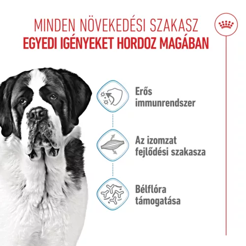 Royal Canin Size Health Nutrition Giant junior száraz kutyaeledel 15kg