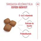 Royal Canin Size Health Nutrition Giant junior száraz kutyaeledel 15kg