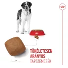 Royal Canin Size Health Nutrition Giant junior száraz kutyaeledel 15kg