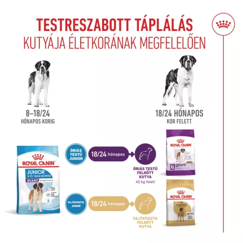Royal Canin Size Health Nutrition Giant junior száraz kutyaeledel 15kg