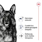 Royal Canin Size Health Nutrition Maxi 8+ Ageing száraz kutyaeledel 15kg