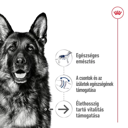 Royal Canin Size Health Nutrition Maxi 8+ Ageing száraz kutyaeledel 15kg