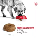 Royal Canin Size Health Nutrition Maxi 8+ Ageing száraz kutyaeledel 15kg