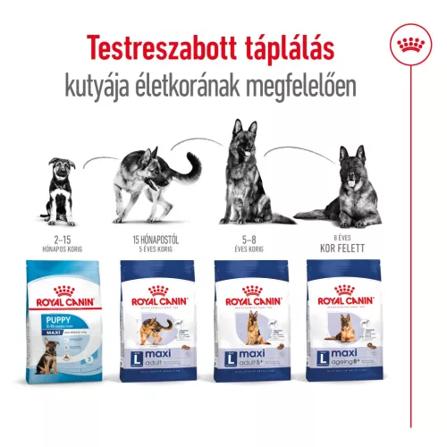 Royal Canin Size Health Nutrition Maxi 8+ Ageing száraz kutyaeledel 15kg