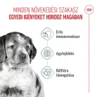 Royal Canin Size Health Nutrition Medium puppy száraz kutyaeledel 15kg