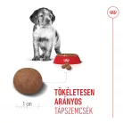 Royal Canin Size Health Nutrition Medium puppy száraz kutyaeledel 15kg