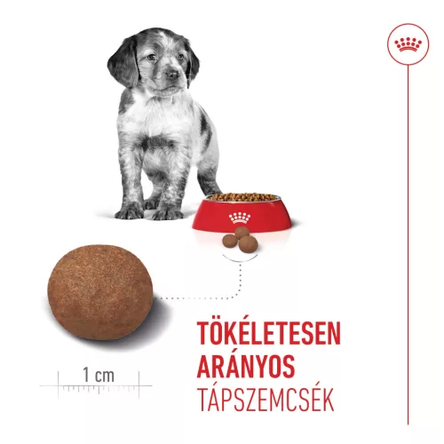 Royal Canin Size Health Nutrition Medium puppy száraz kutyaeledel 15kg