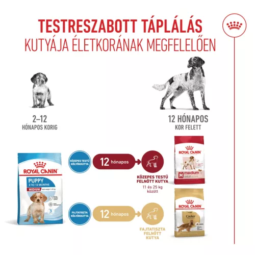 Royal Canin Size Health Nutrition Medium puppy száraz kutyaeledel 15kg