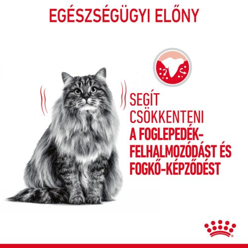 Royal Canin Feline Care Nutrition Dental Care száraz macskaeledel 1,5kg