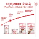 Royal Canin Feline Health Nutrition Mother&Babycat száraz macskaeledel 2kg