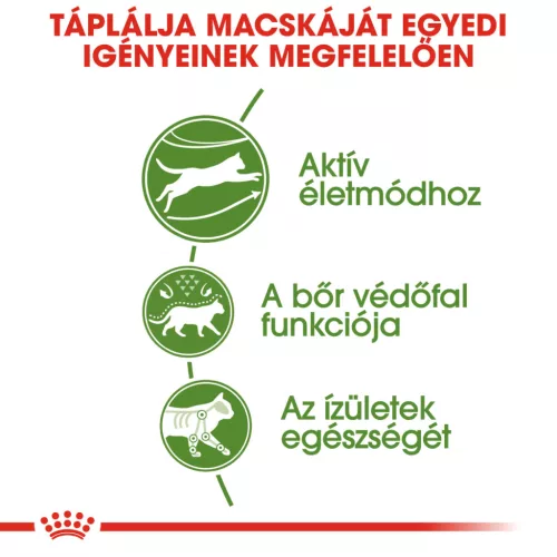 Royal Canin Feline Health Nutrition Outdoor 30 száraz macskaeledel 4kg