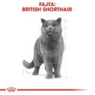 Royal Canin Feline Breed Nutrition Brit rövidszőrű adult száraz macskaeledel 4kg