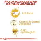 Royal Canin Feline Breed Nutrition Brit rövidszőrű adult száraz macskaeledel 4kg