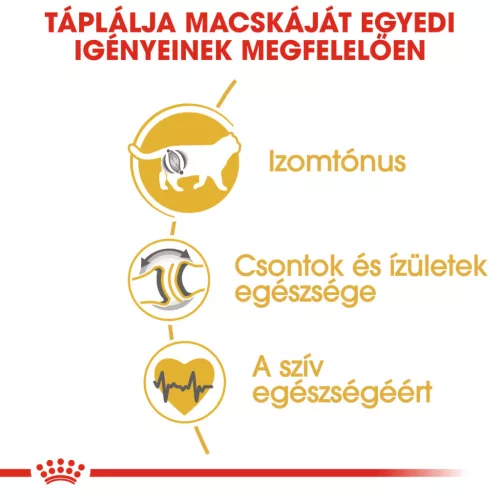 Royal Canin Feline Breed Nutrition Brit rövidszőrű adult száraz macskaeledel 4kg