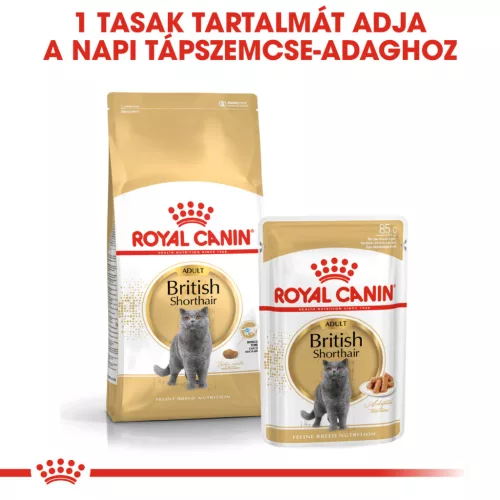 Royal Canin Feline Breed Nutrition Brit rövidszőrű adult száraz macskaeledel 4kg